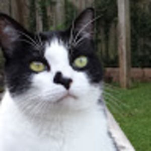 Meet your Posher, Beth